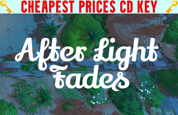 Buy After Light Fades Cheap CD KEY