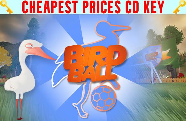 Buy BIRD BALL Cheap CD KEY