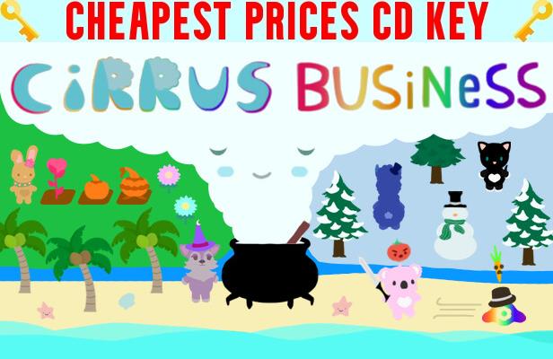 Buy Cirrus Business Cheap CD KEY