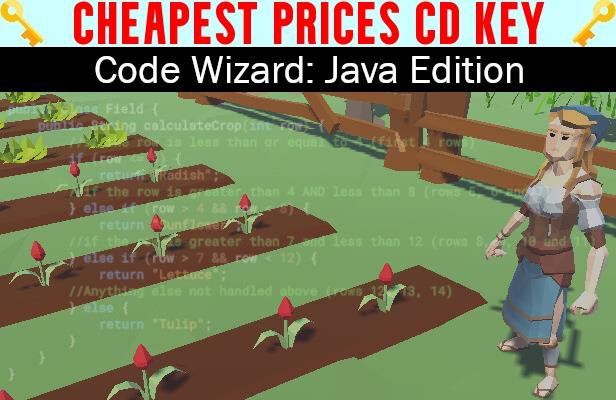 Buy Code Wizard: Java Edition Cheap CD KEY