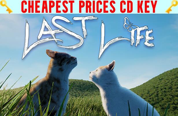 Buy Last Life Cheap CD KEY