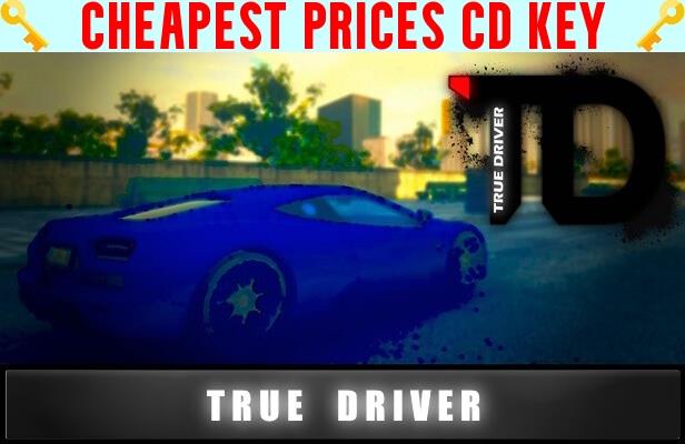 Buy True Driver Cheap CD KEY